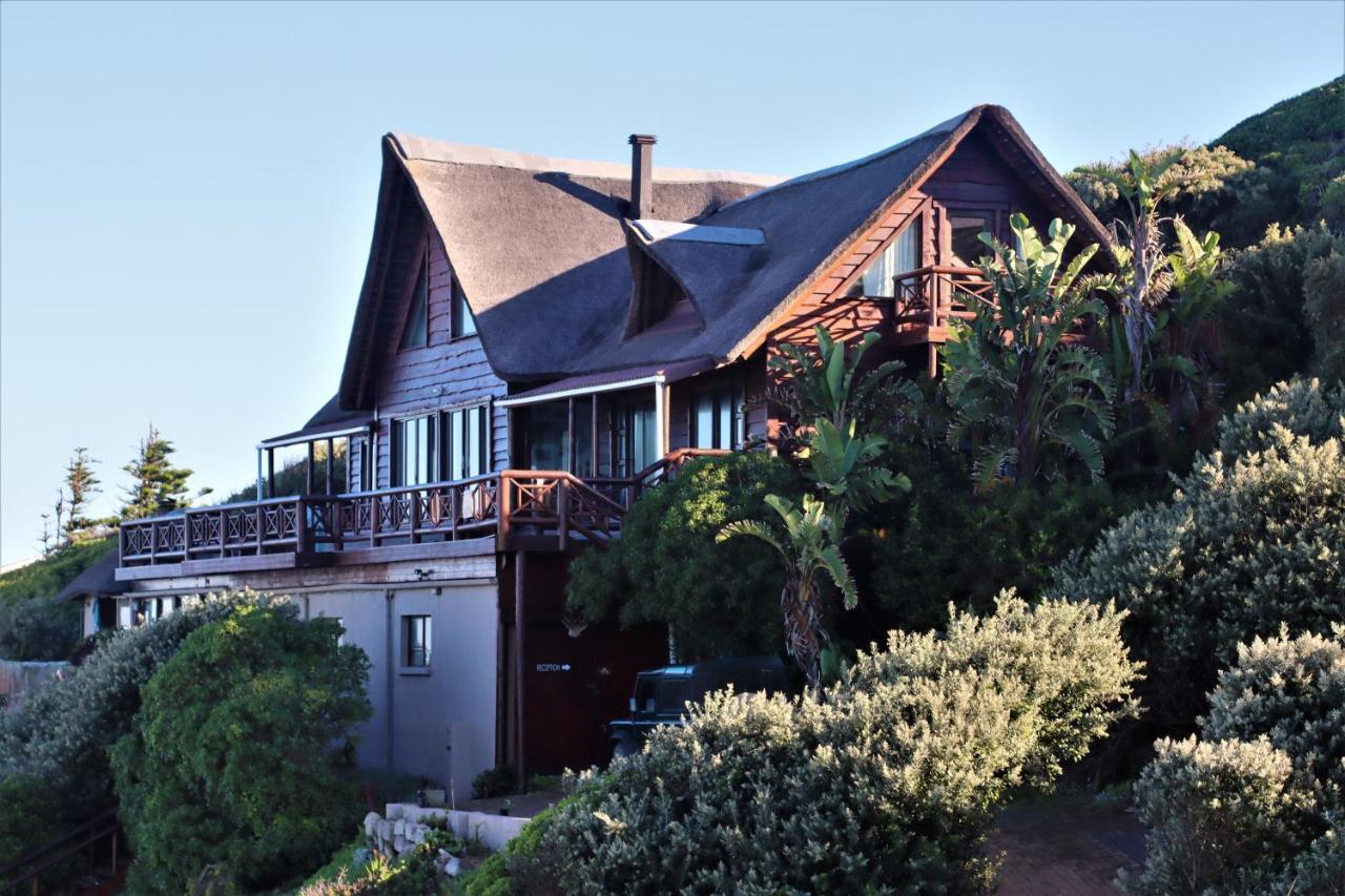 Oyster Bay Beach Lodge Buitenkant foto